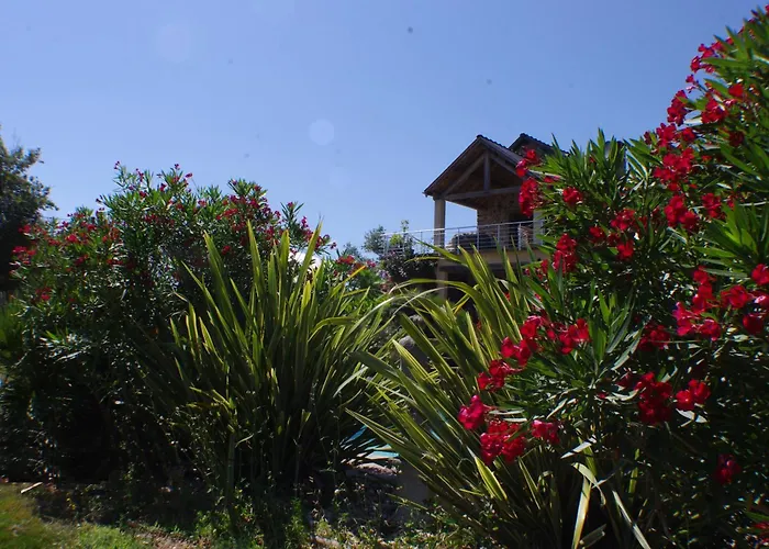 Σπίτι διακοπών Olisios, Beautiful With Private Pool *