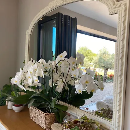 Olisios, Beautiful With Private Pool 別荘 *