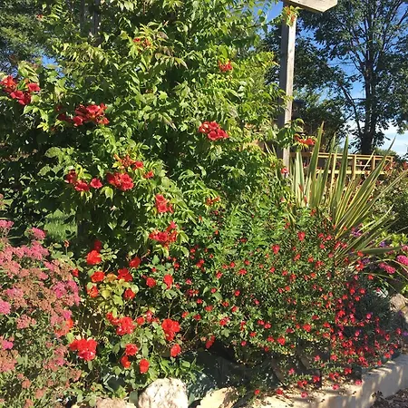Olisios, Beautiful With Private Pool Casa de Férias