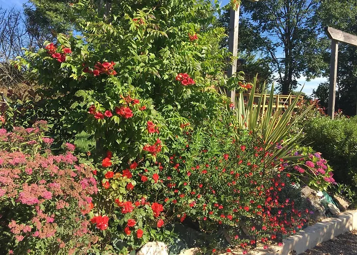 Olisios, Beautiful With Private Pool 펜션